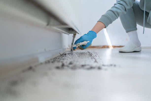 Pest Prevention Services in Abingdon, VA